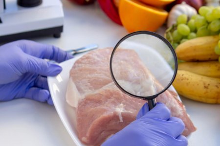 ISO 22000 Certification in Malaysia – FSMS Requirements, Food Safety Laws & Get Certified with SCS