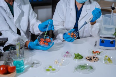 ISO 22000 Certification in India – FSMS, FSSAI Requirements and Accreditation | Get Certified with SCS