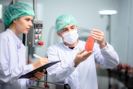 HACCP Certification in Qatar – Food Safety Requirements, Controls & Compliance | Get Certified with SCS